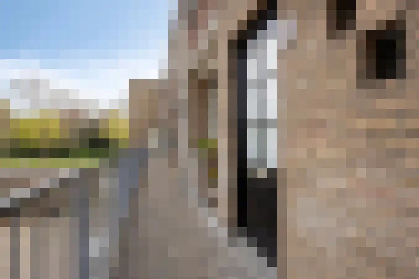 van Meelstraat 34 Zwijndrecht thumbnail 5