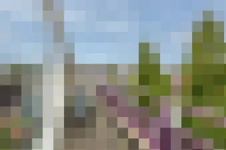 Van Meerbeekstraat 80 Hillegom thumbnail 25