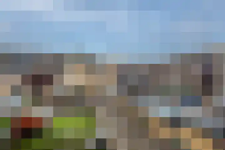Van Meerbeekstraat 80 Hillegom thumbnail 4