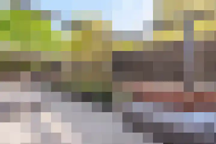 van Meerveltweg 2 Hattem thumbnail 56