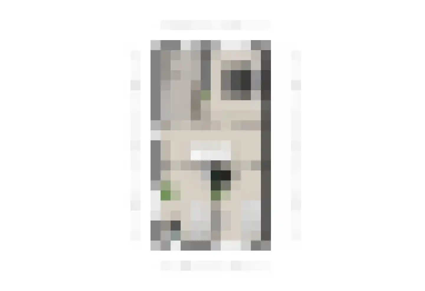van Meerveltweg 4 Hattem thumbnail 47