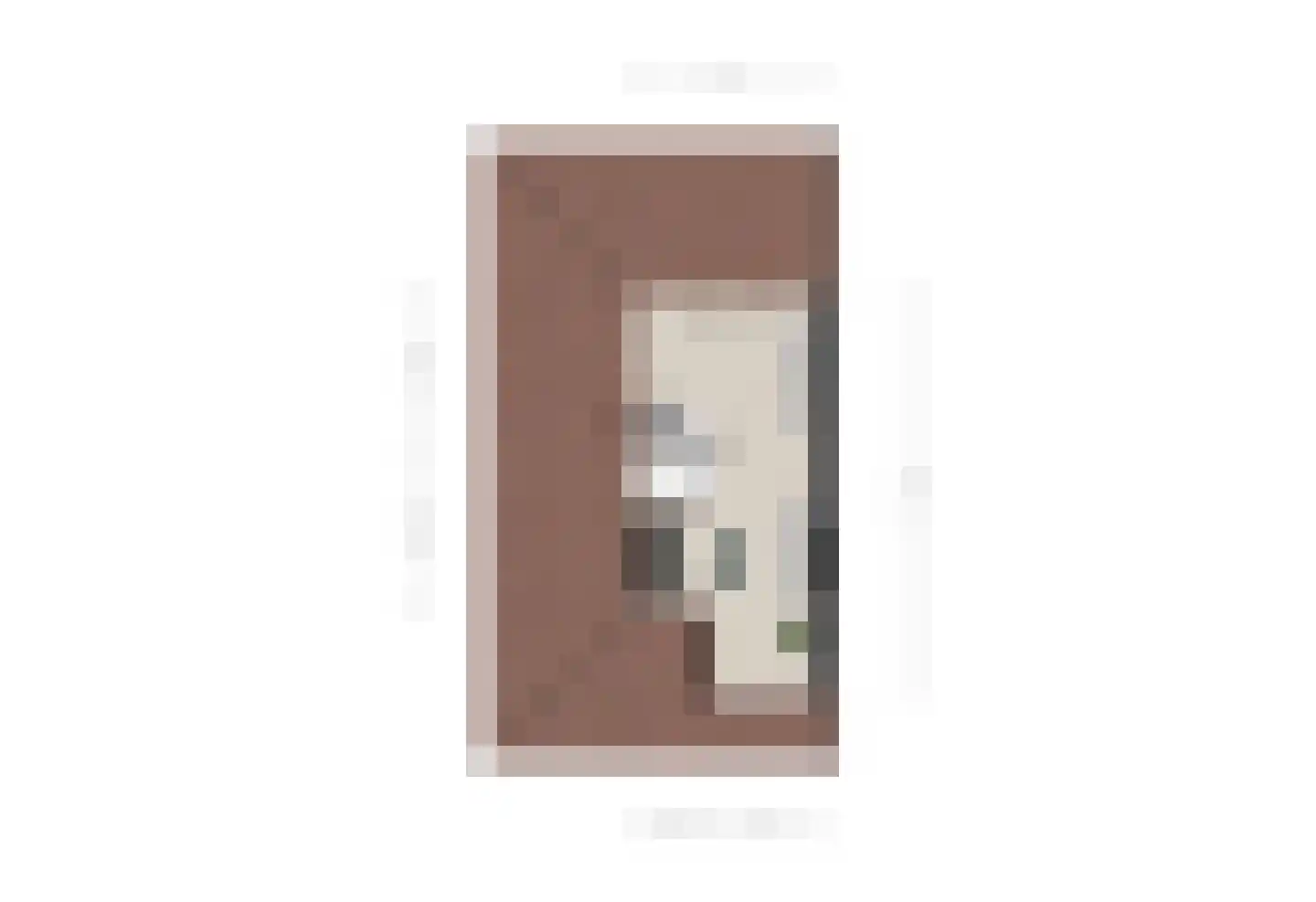 van Meerveltweg 4 Hattem thumbnail 48