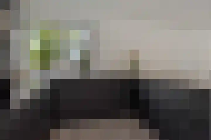van Meeuwenstraat 10 Rosmalen thumbnail 10