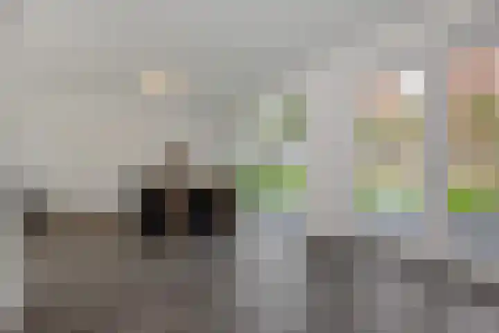van Meeuwenstraat 10 Rosmalen thumbnail 11