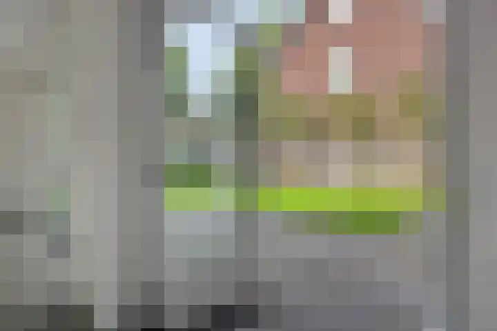van Meeuwenstraat 10 Rosmalen thumbnail 12