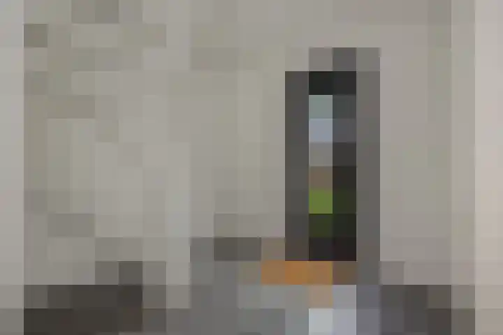van Meeuwenstraat 10 Rosmalen thumbnail 13