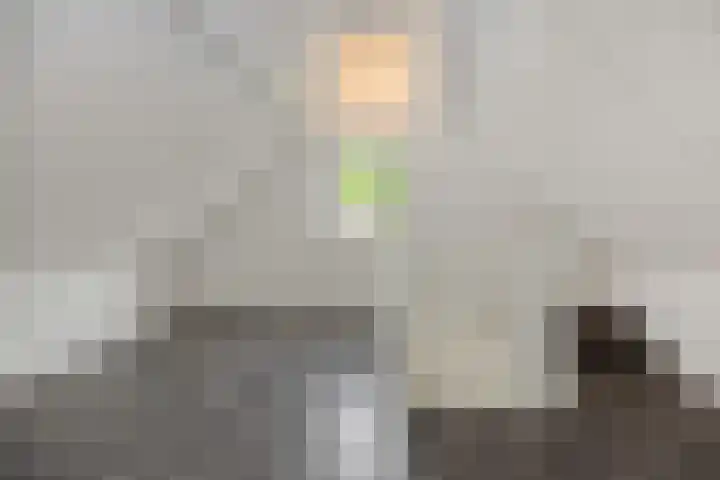 van Meeuwenstraat 10 Rosmalen thumbnail 18