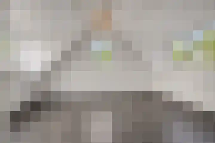 van Meeuwenstraat 10 Rosmalen thumbnail 19