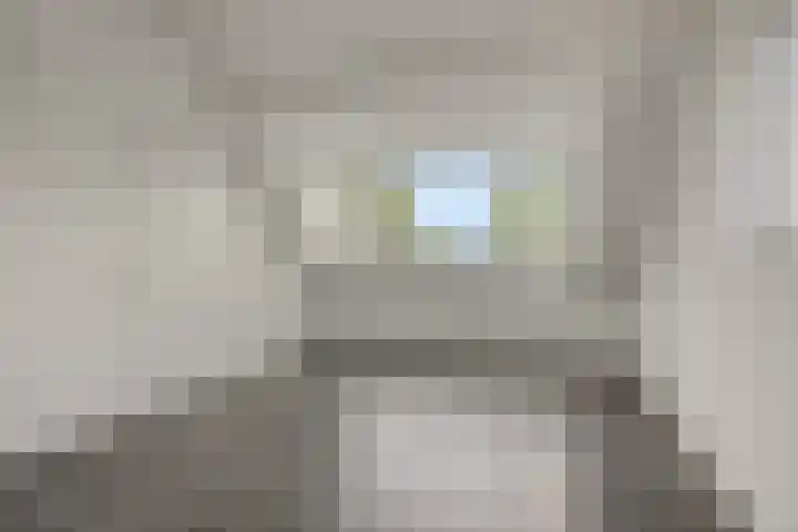 van Meeuwenstraat 10 Rosmalen thumbnail 21