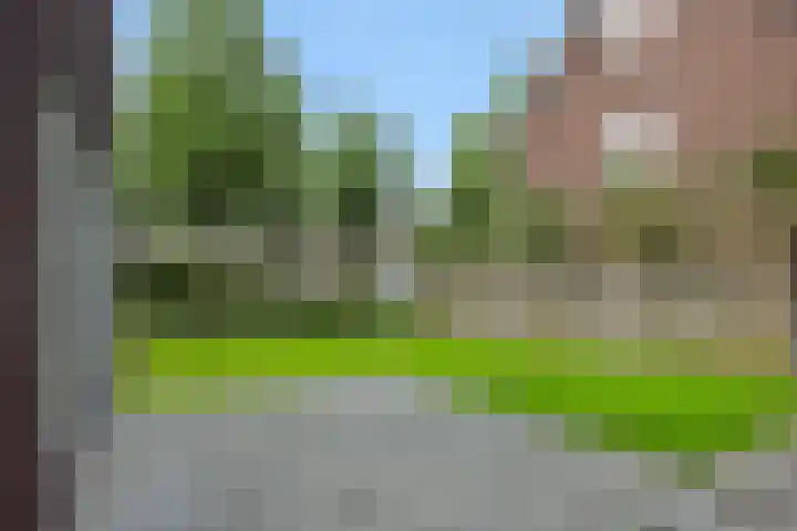 van Meeuwenstraat 10 Rosmalen thumbnail 22