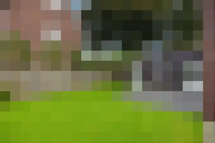 van Meeuwenstraat 10 Rosmalen thumbnail 23