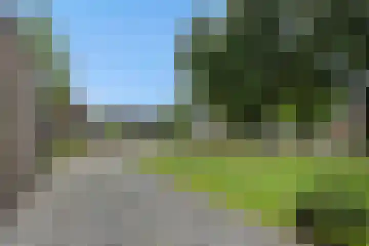 van Meeuwenstraat 10 Rosmalen thumbnail 26