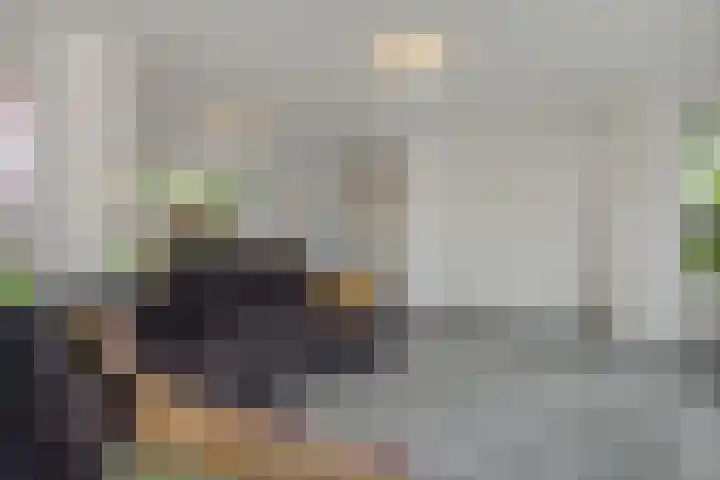van Meeuwenstraat 10 Rosmalen thumbnail 4