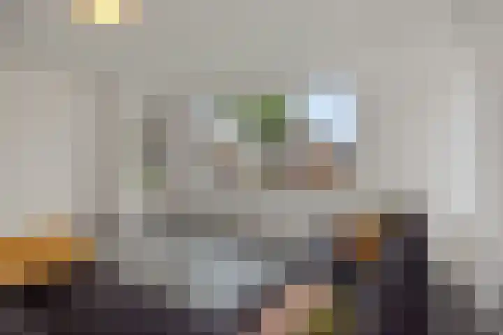 van Meeuwenstraat 10 Rosmalen thumbnail 8