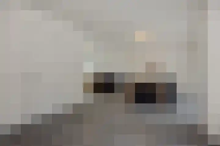 van Meeuwenstraat 10 Rosmalen thumbnail 9