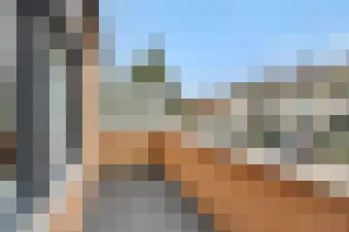 van Meeuwenstraat 23 Rosmalen thumbnail 10