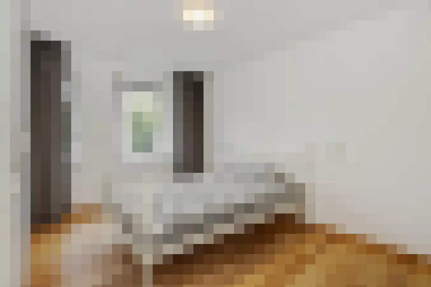 van Meeuwenstraat 23 Rosmalen thumbnail 13