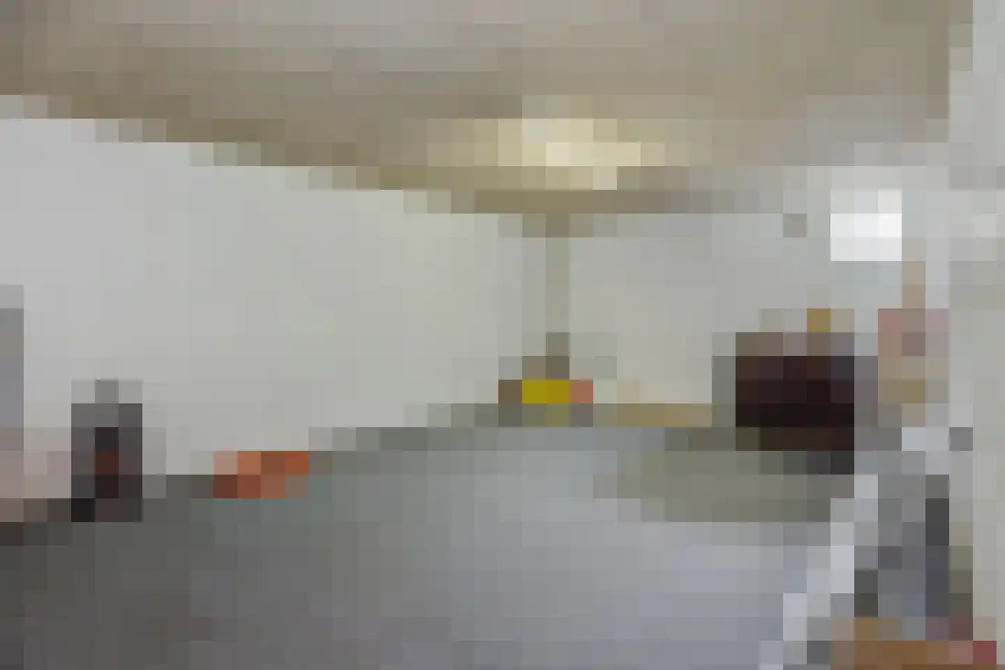 van Meeuwenstraat 23 Rosmalen thumbnail 20