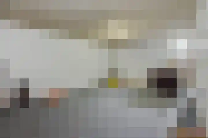 van Meeuwenstraat 23 Rosmalen thumbnail 20