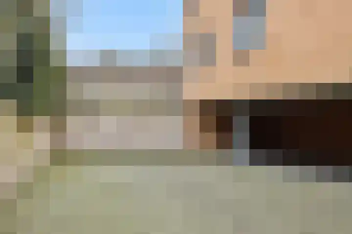 van Meeuwenstraat 23 Rosmalen thumbnail 22