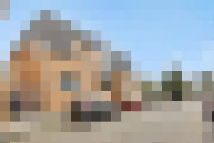 van Meeuwenstraat 23 Rosmalen thumbnail 26