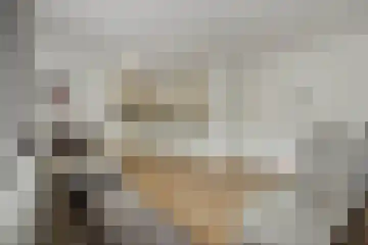 van Meeuwenstraat 23 Rosmalen thumbnail 5