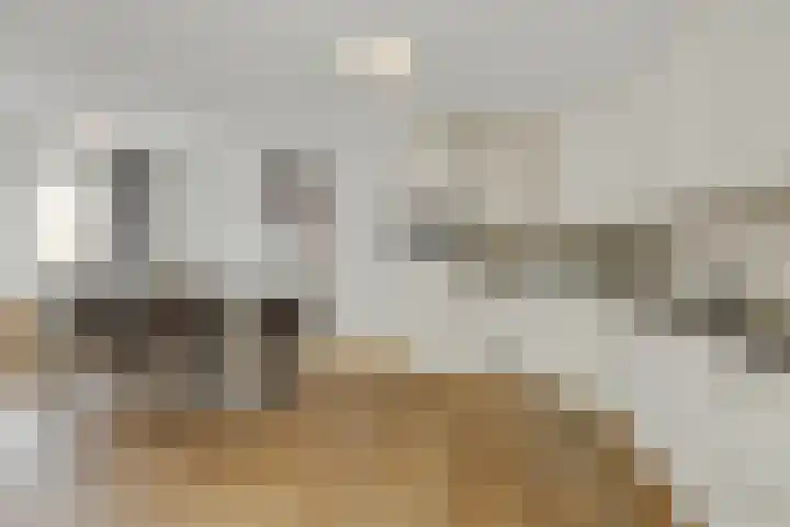 van Meeuwenstraat 23 Rosmalen thumbnail 6
