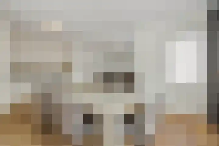 van Meeuwenstraat 23 Rosmalen thumbnail 8