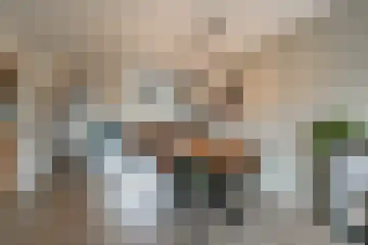van Meeuwenstraat 8 Spaarndam thumbnail 11
