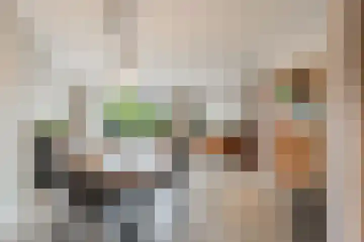 van Meeuwenstraat 8 Spaarndam thumbnail 17
