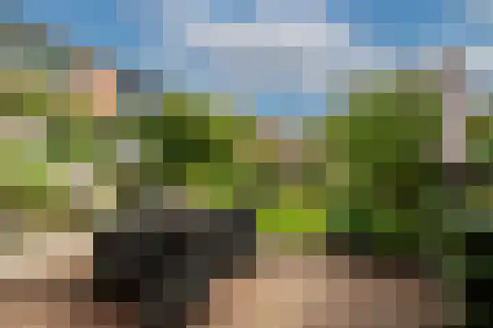 van Meeuwenstraat 8 Spaarndam thumbnail 18