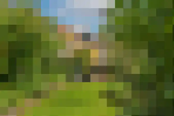 van Meeuwenstraat 8 Spaarndam thumbnail 20