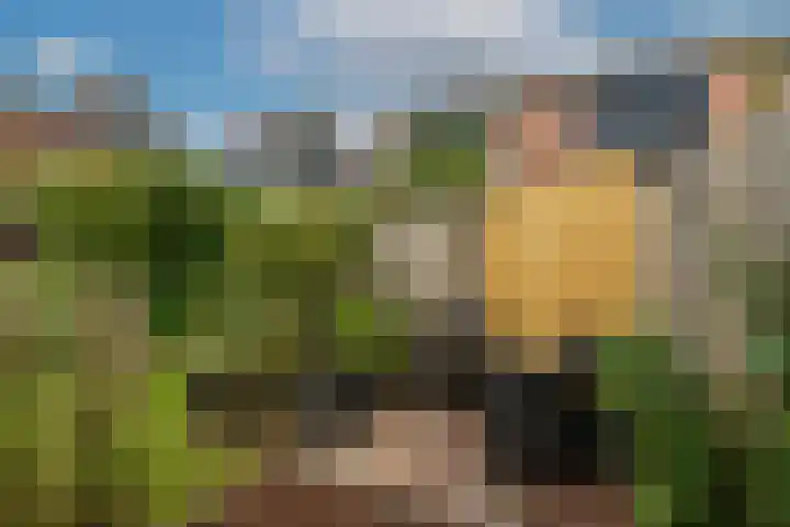van Meeuwenstraat 8 Spaarndam thumbnail 21