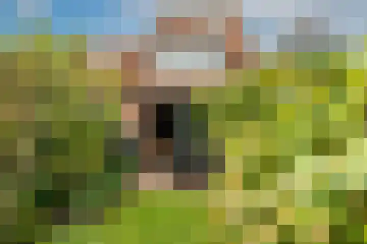 van Meeuwenstraat 8 Spaarndam thumbnail 22