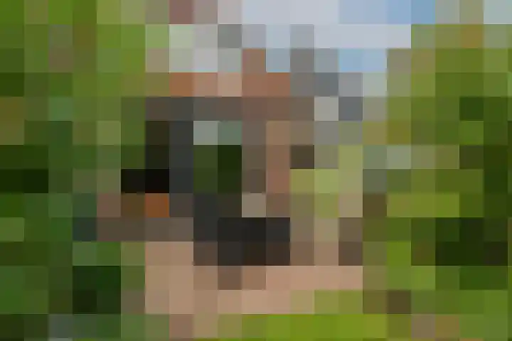 van Meeuwenstraat 8 Spaarndam thumbnail 23