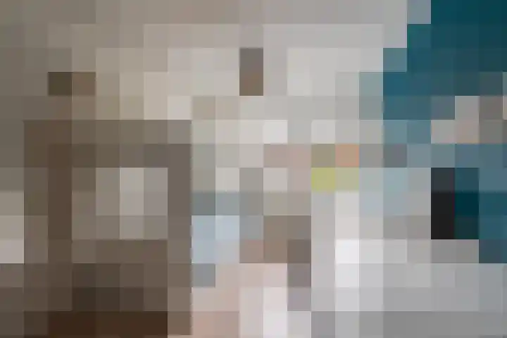 van Meeuwenstraat 8 Spaarndam thumbnail 25