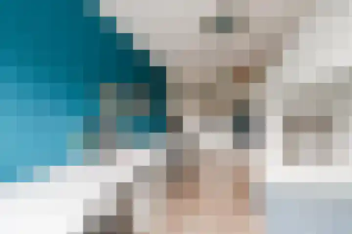 van Meeuwenstraat 8 Spaarndam thumbnail 26