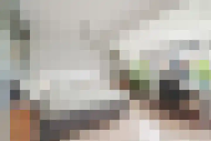 van Meeuwenstraat 8 Spaarndam thumbnail 27