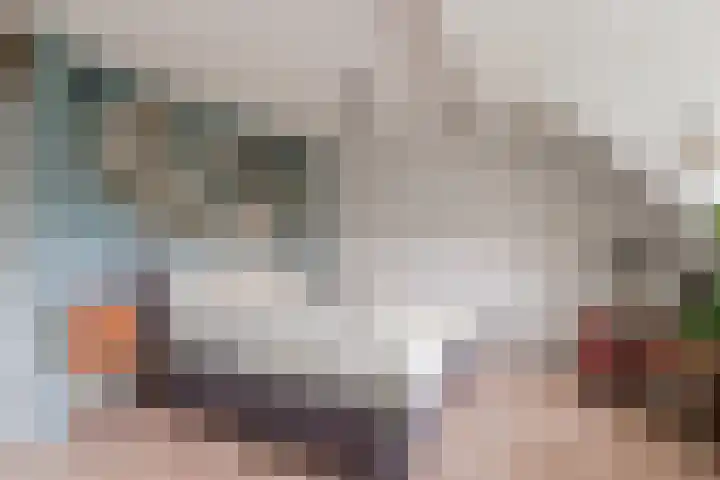 van Meeuwenstraat 8 Spaarndam thumbnail 28
