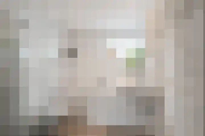 van Meeuwenstraat 8 Spaarndam thumbnail 31