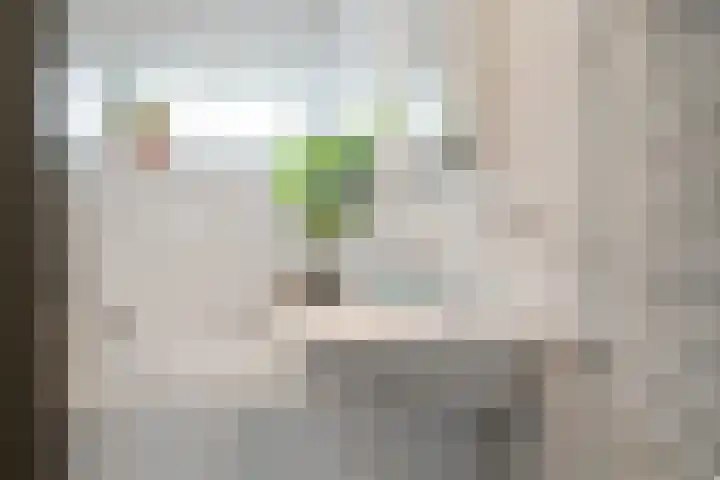 van Meeuwenstraat 8 Spaarndam thumbnail 32