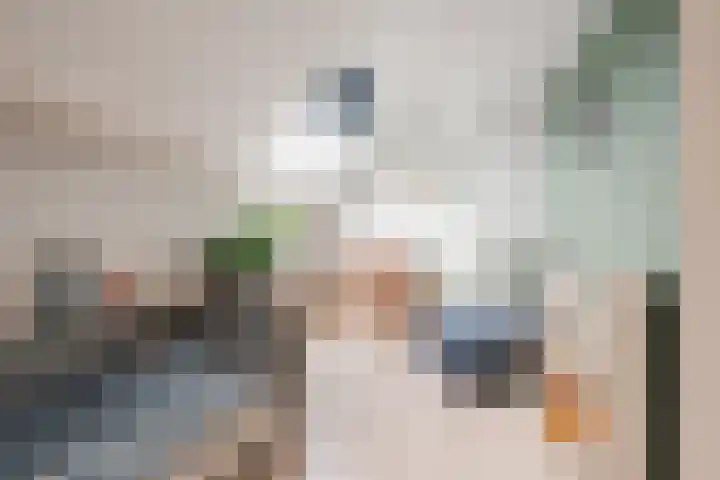 van Meeuwenstraat 8 Spaarndam thumbnail 34