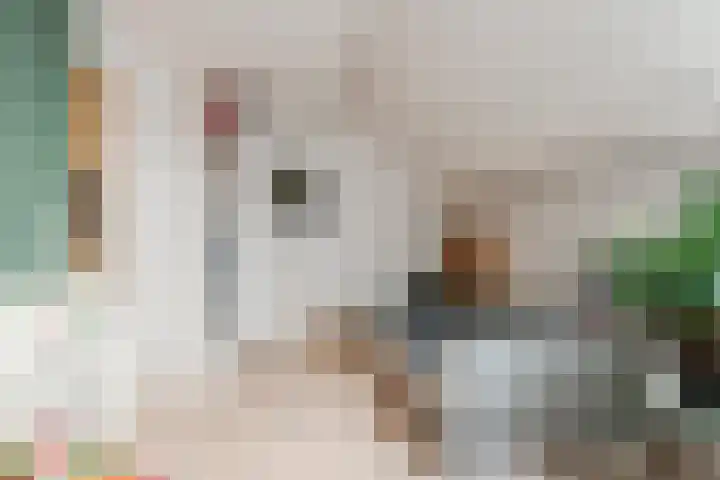van Meeuwenstraat 8 Spaarndam thumbnail 35
