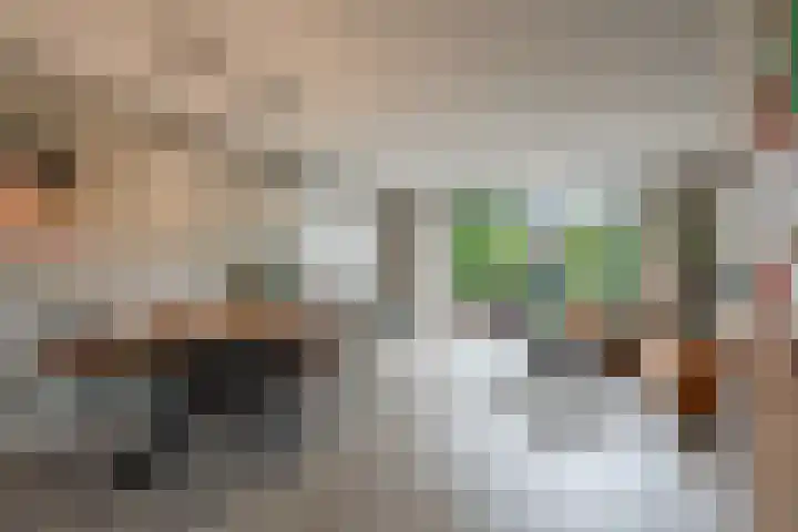 van Meeuwenstraat 8 Spaarndam thumbnail 4