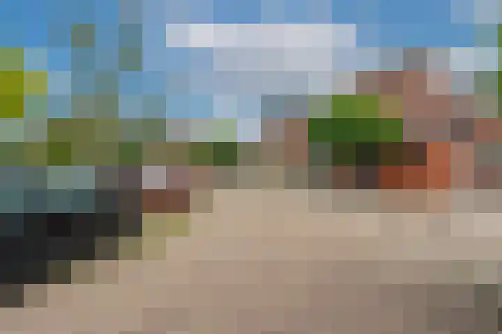 van Meeuwenstraat 8 Spaarndam thumbnail 43