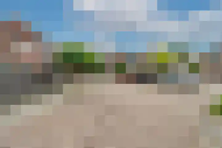 van Meeuwenstraat 8 Spaarndam thumbnail 44