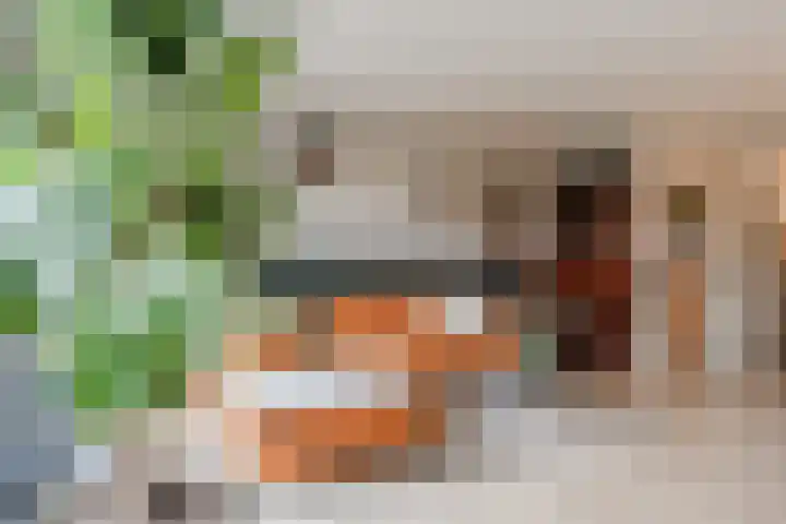 van Meeuwenstraat 8 Spaarndam thumbnail 7