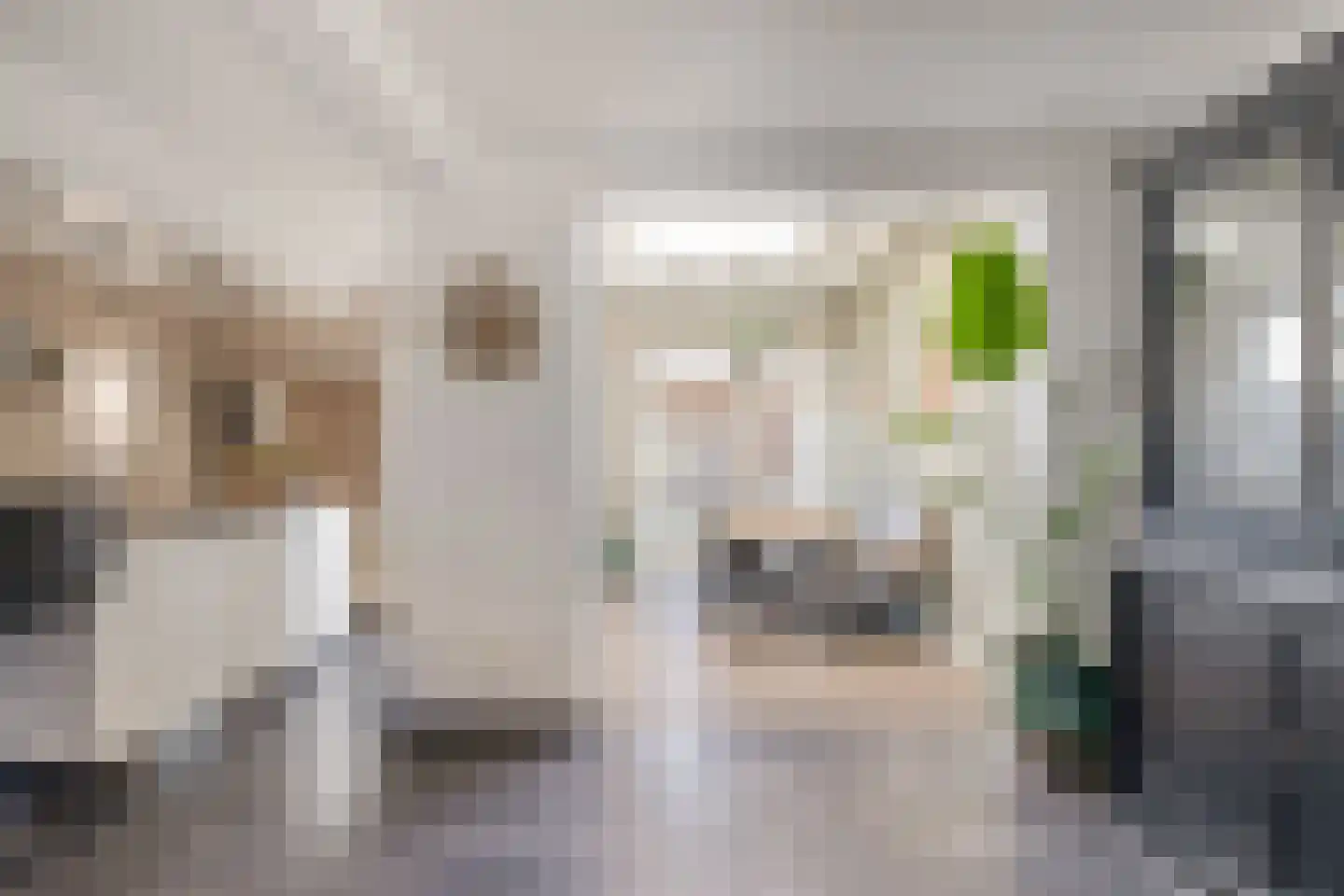 van Megenstraat 12 Leunen thumbnail 10