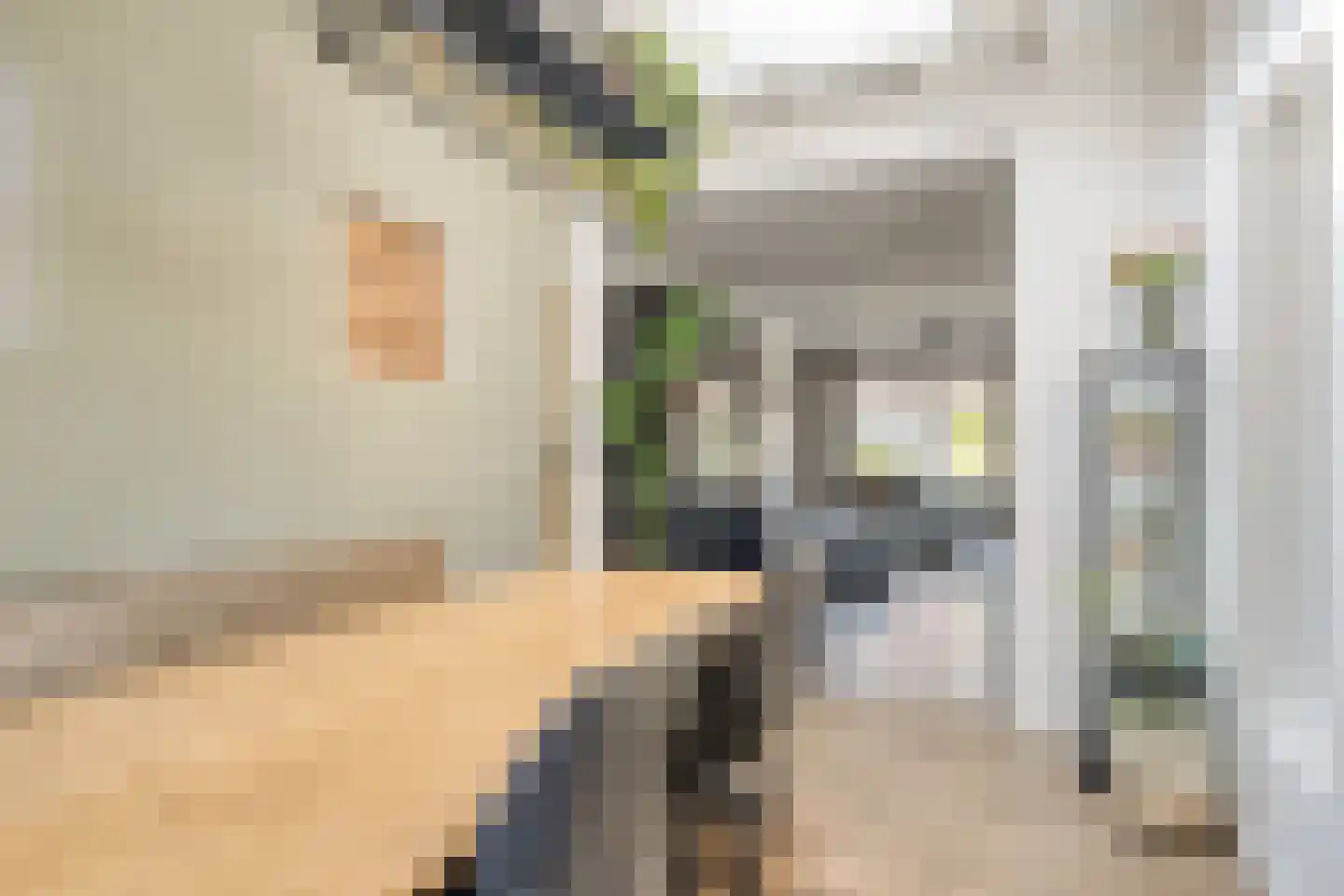 van Megenstraat 12 Leunen thumbnail 12