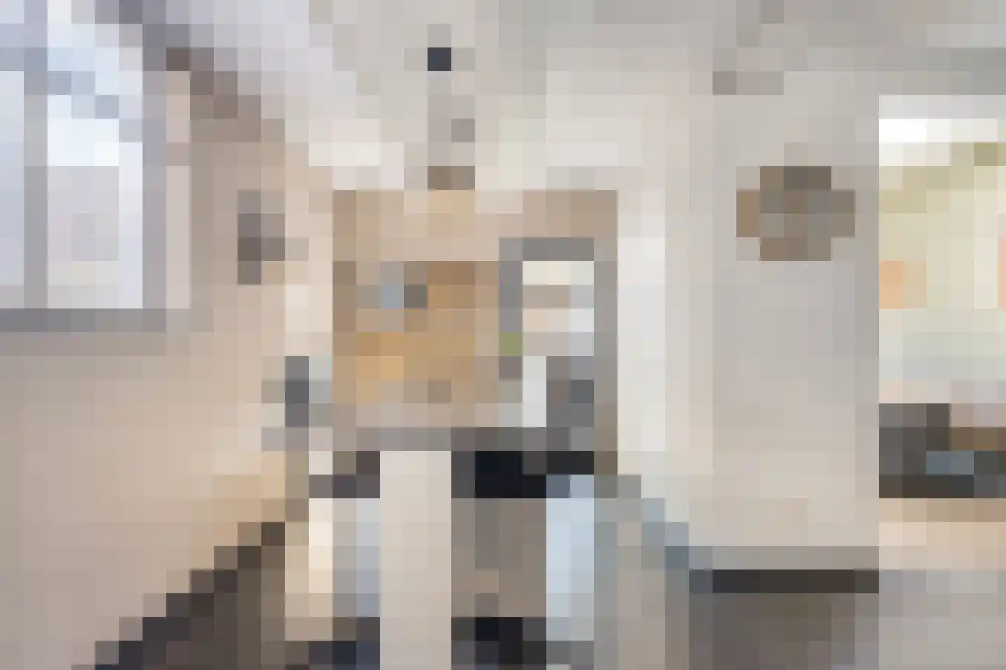 van Megenstraat 12 Leunen thumbnail 13